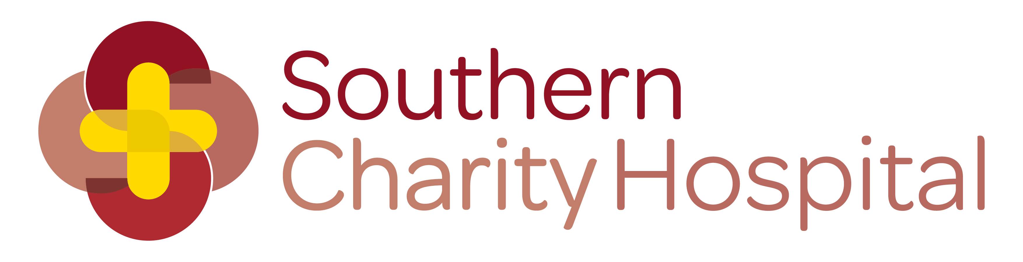 Southern Charity Hospital Logo