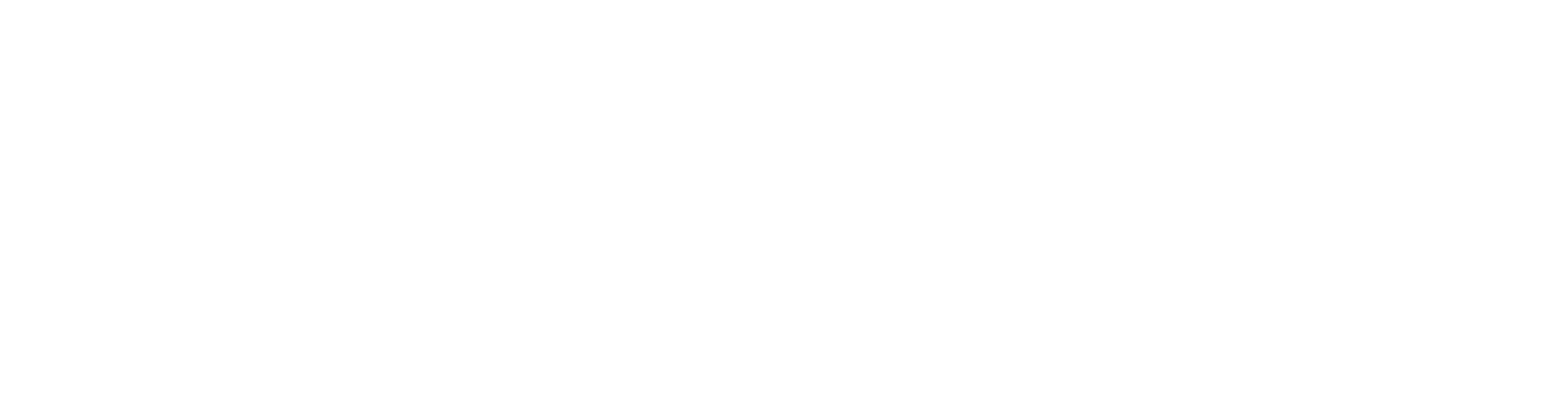 Southern Charity Hospital Logo White