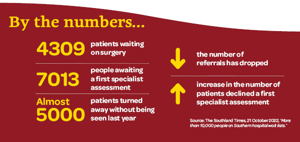 These are a summary of current patients waiting to be seen, those who have been turned away, and those awaiting surgery according to a recent Southland Times article.